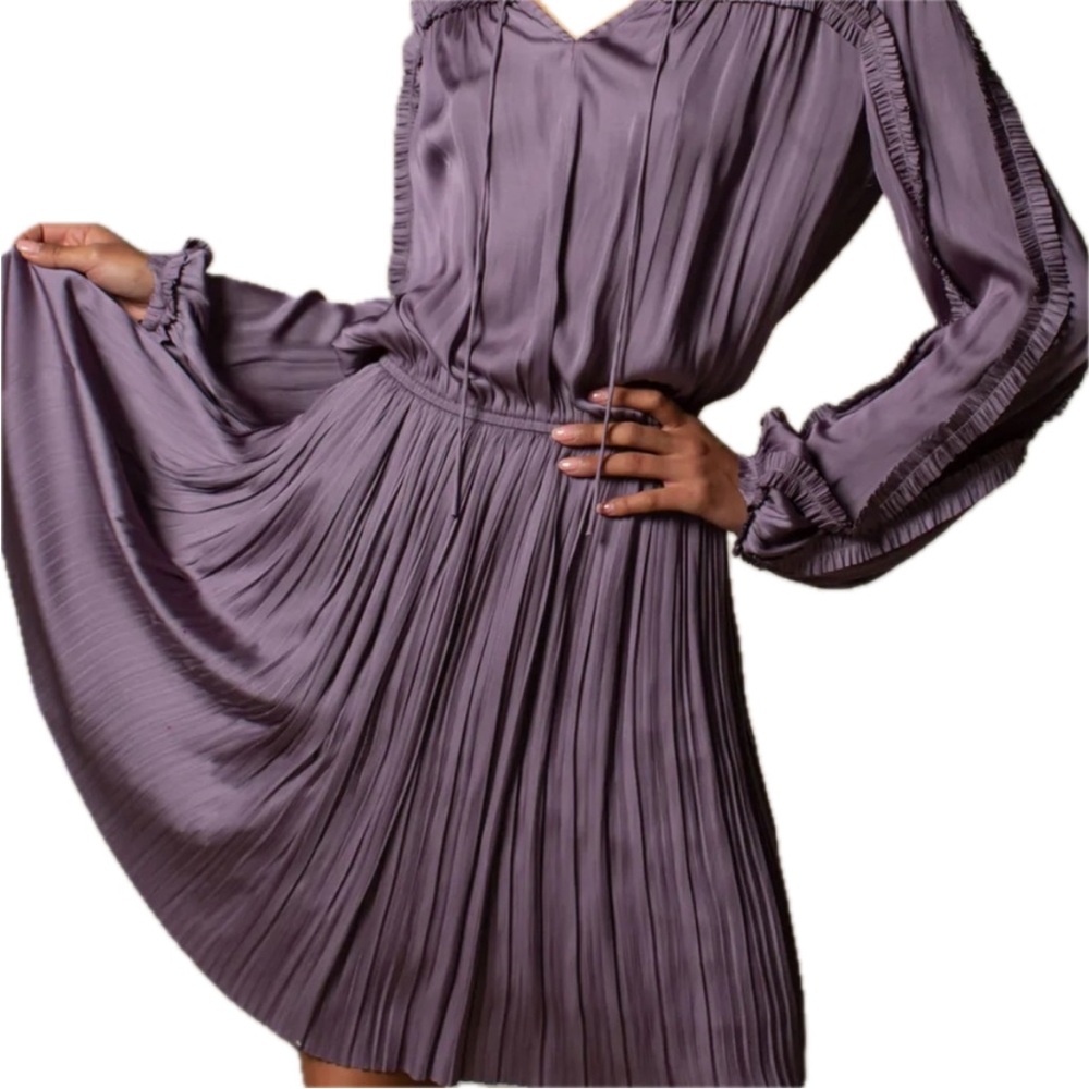 Current Air, Ruffled Trimmed Pleated Purple Mini Dress, NWT! Size Small. 2-4